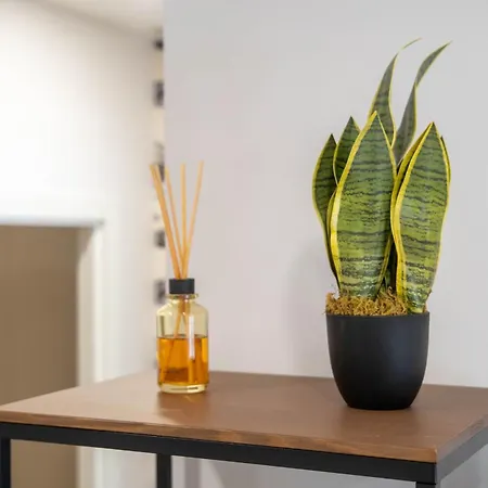 Oasis Avenida Da Republica 아파트