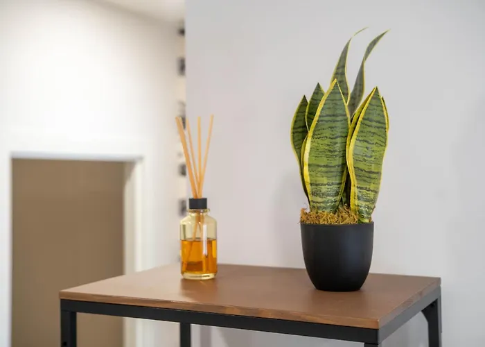 Oasis Avenida Da Republica Apartment